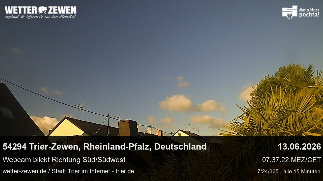 Bild