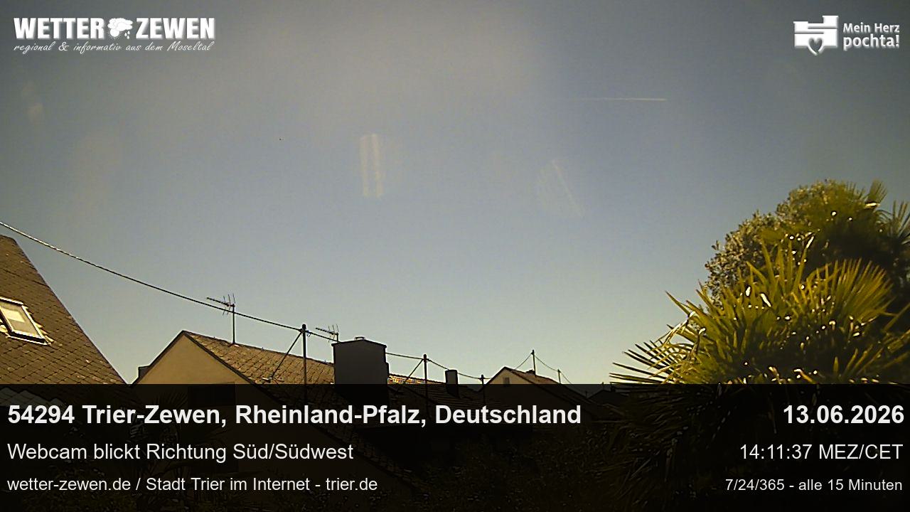 Bild