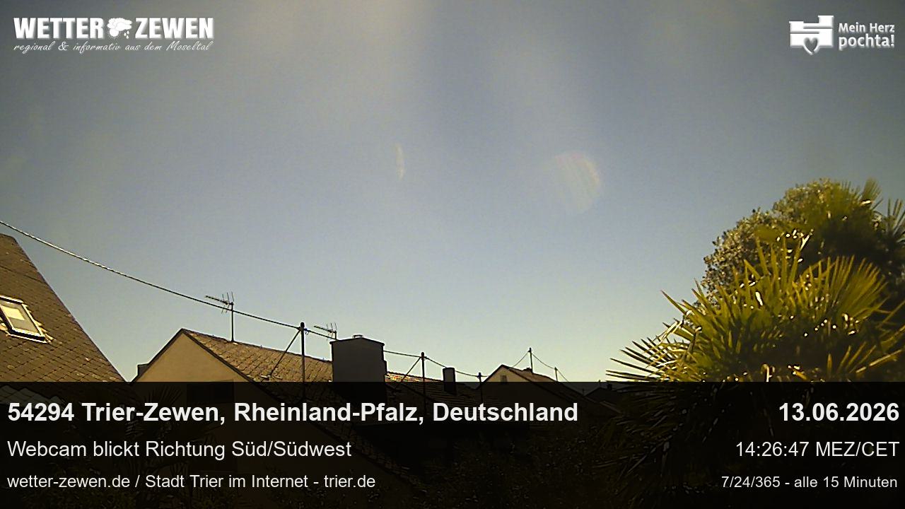 Bild