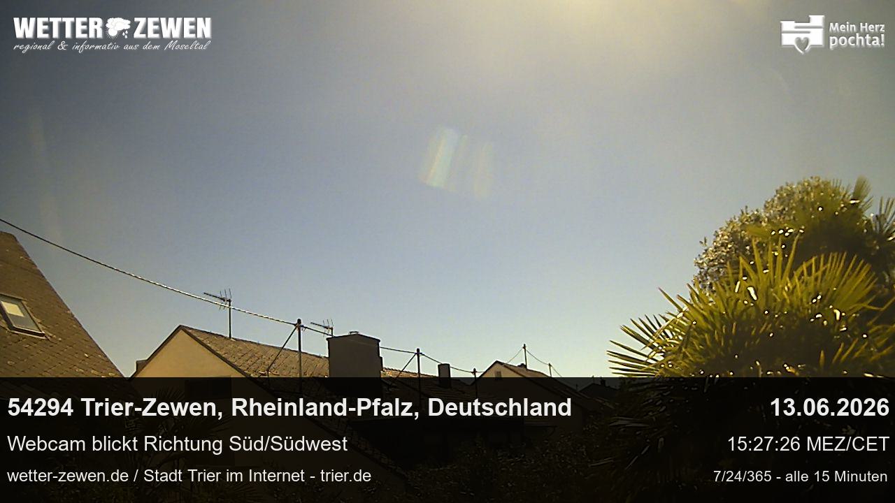 Bild