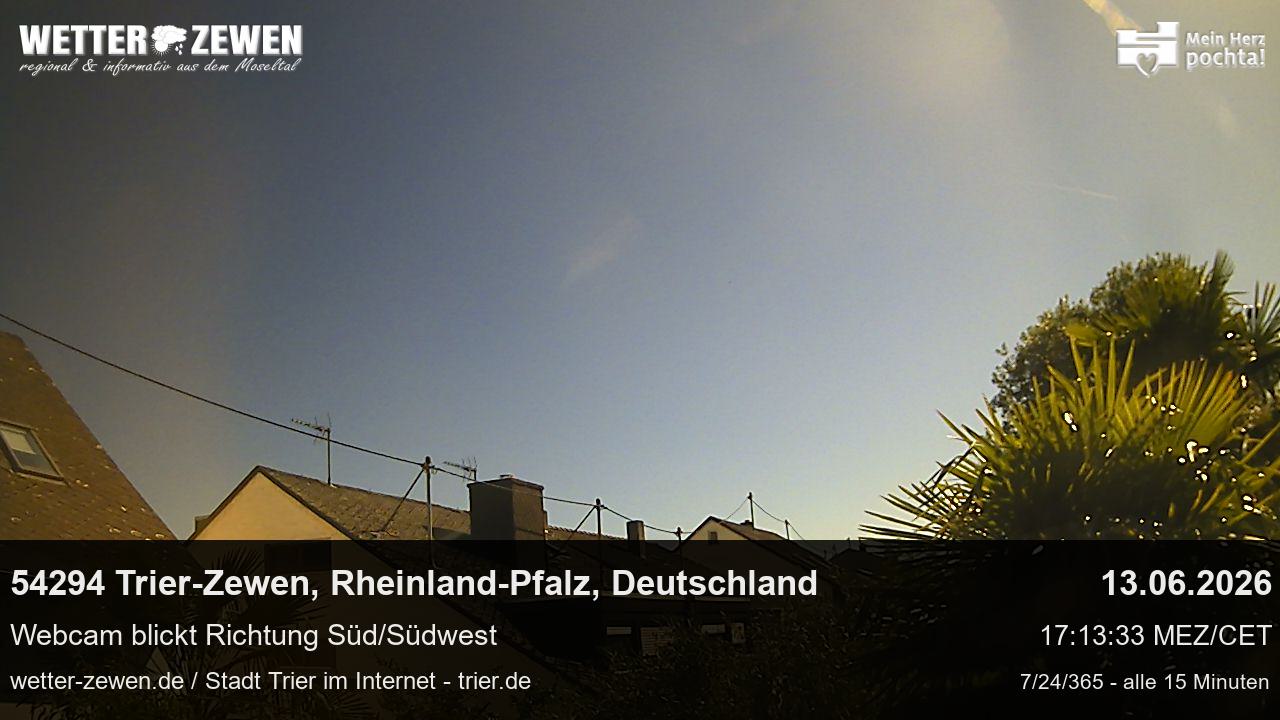 Bild