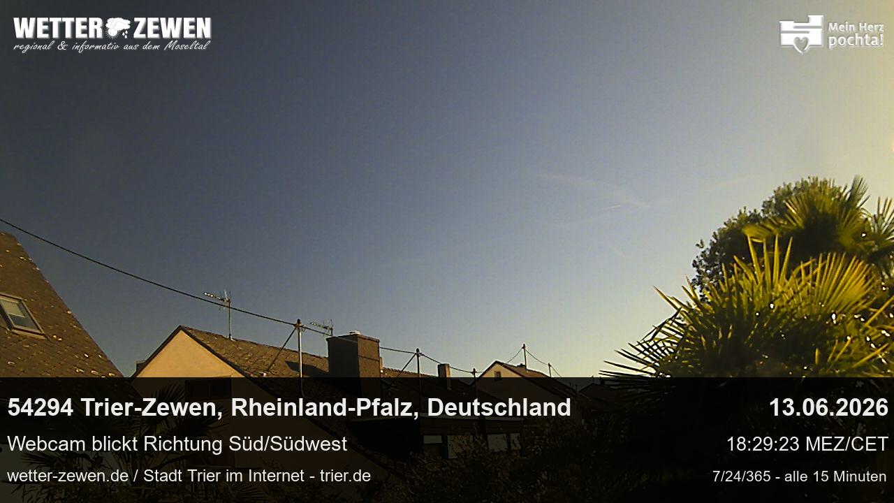Bild