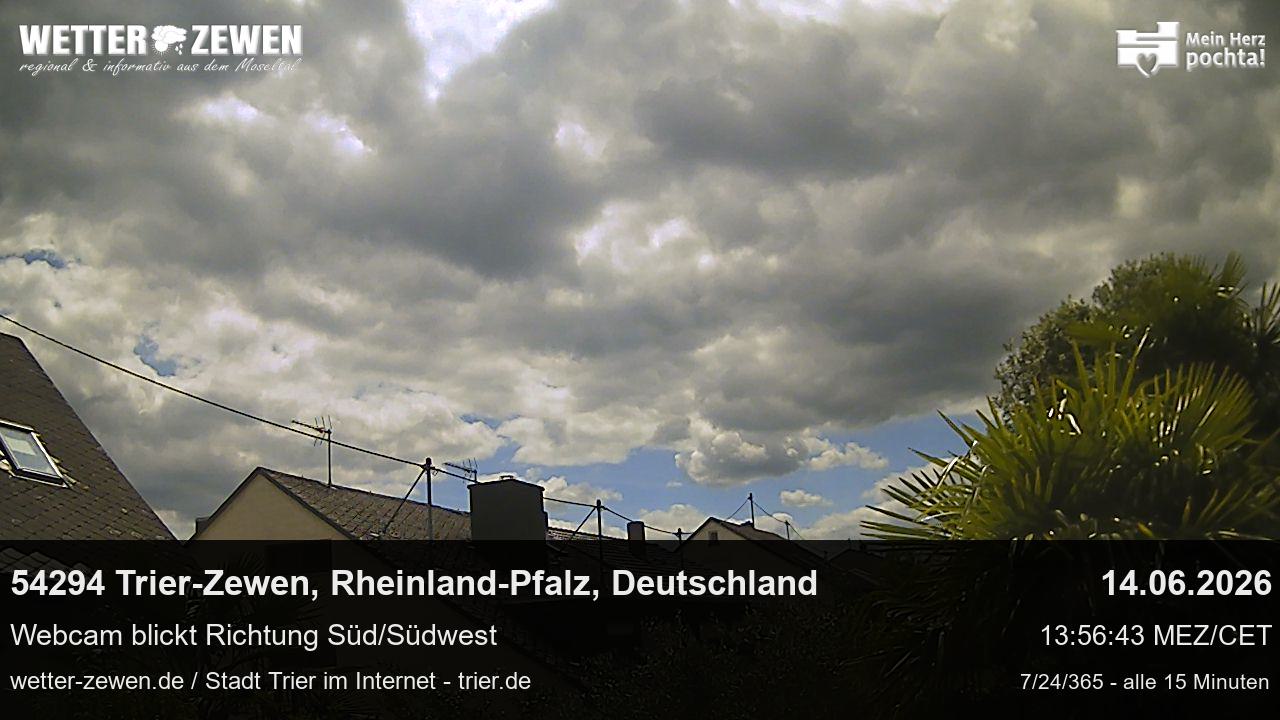 Bild