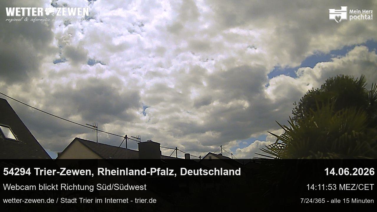 Bild