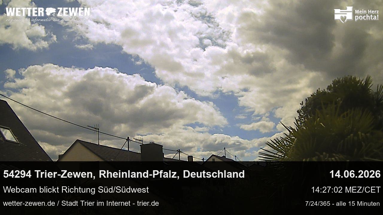 Bild