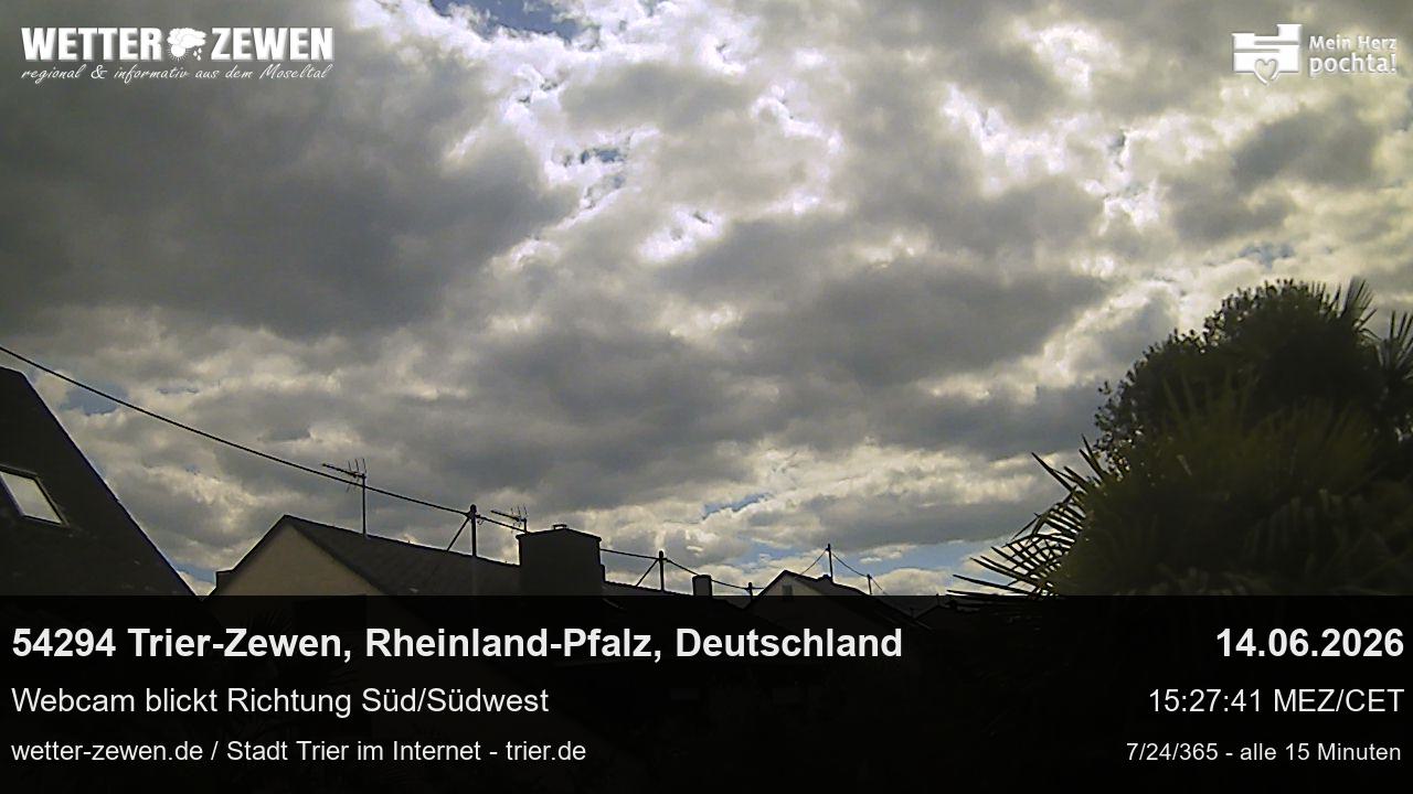 Bild