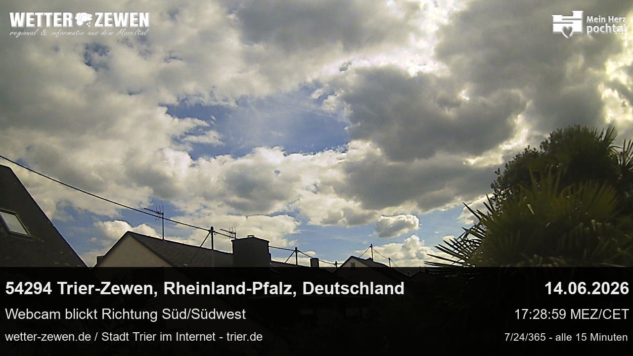 Bild