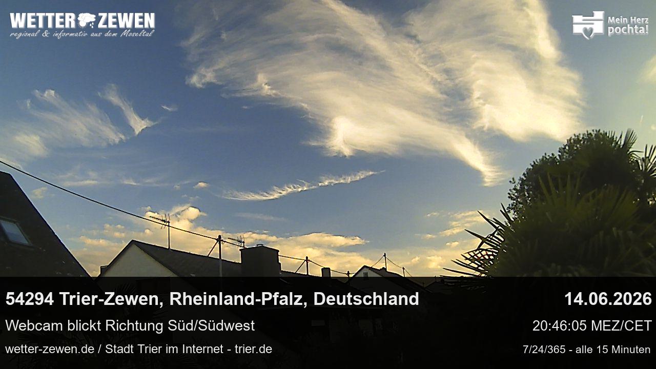 Bild