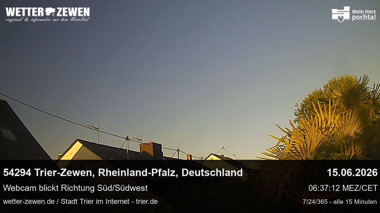 Bild