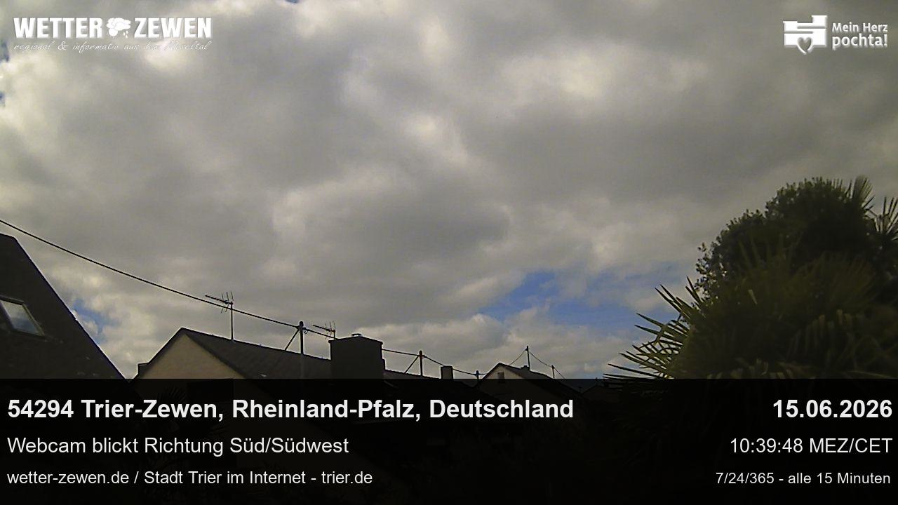Bild