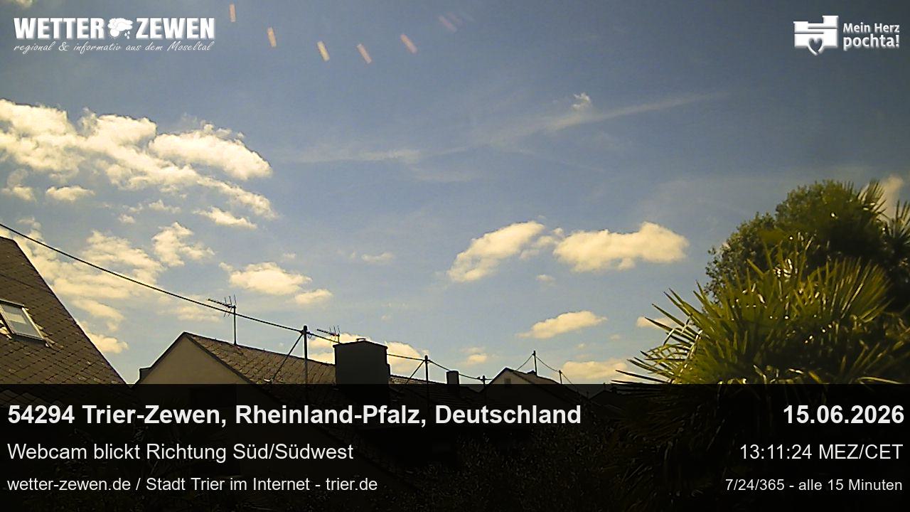 Bild