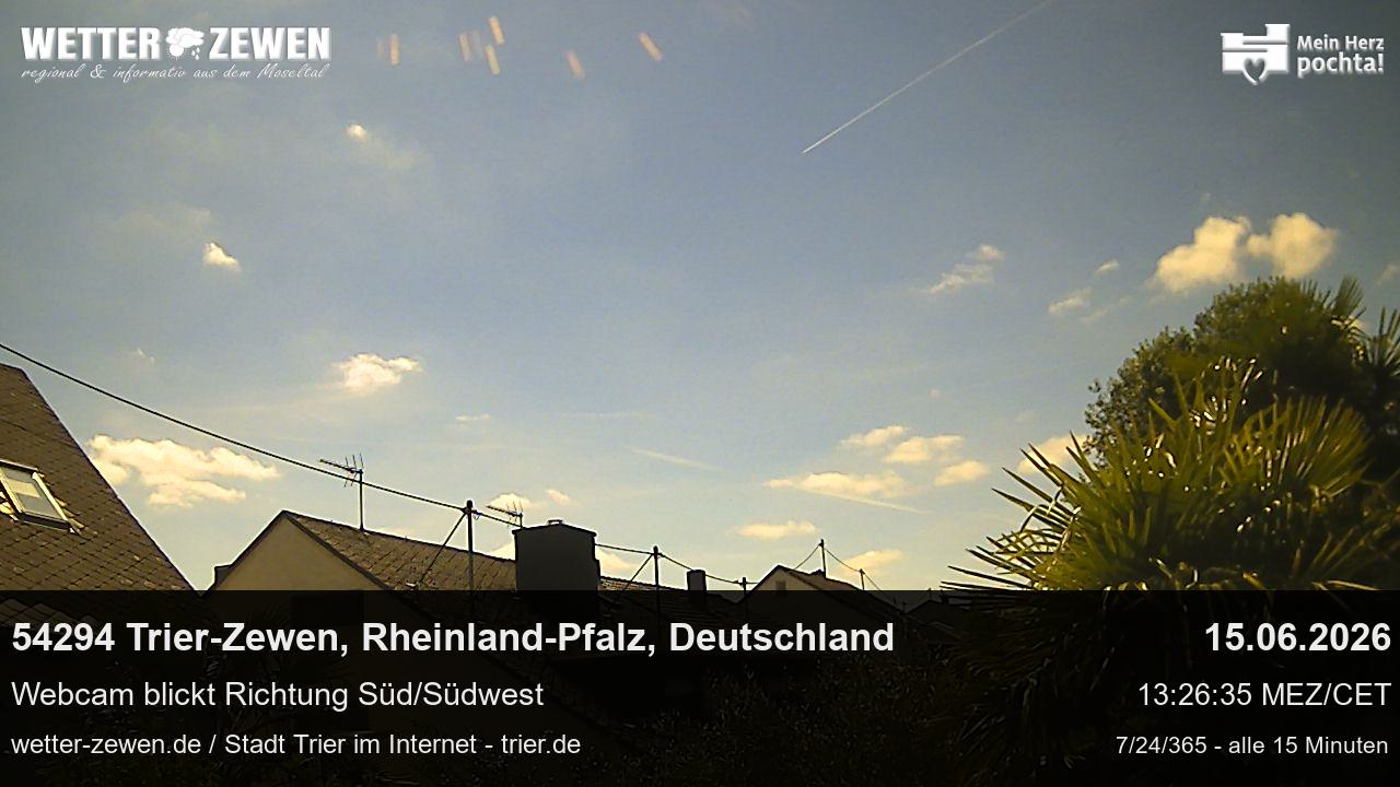 Bild