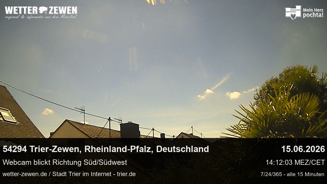 Bild