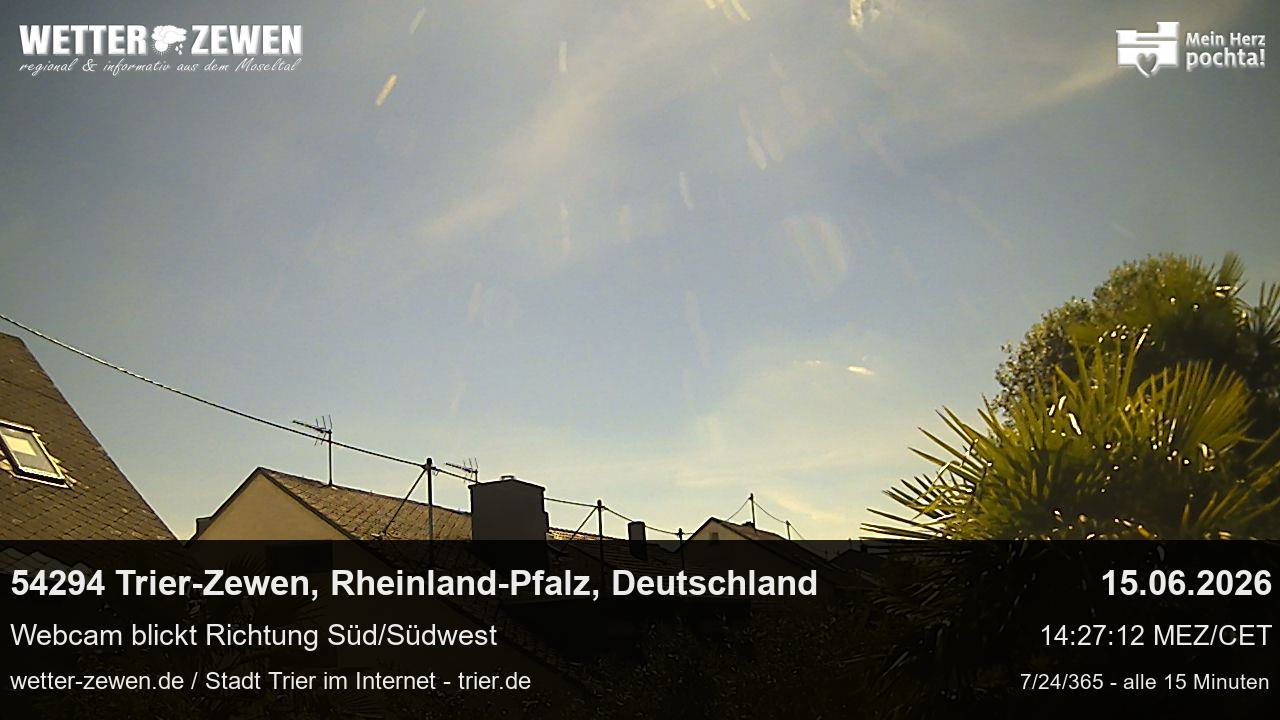 Bild