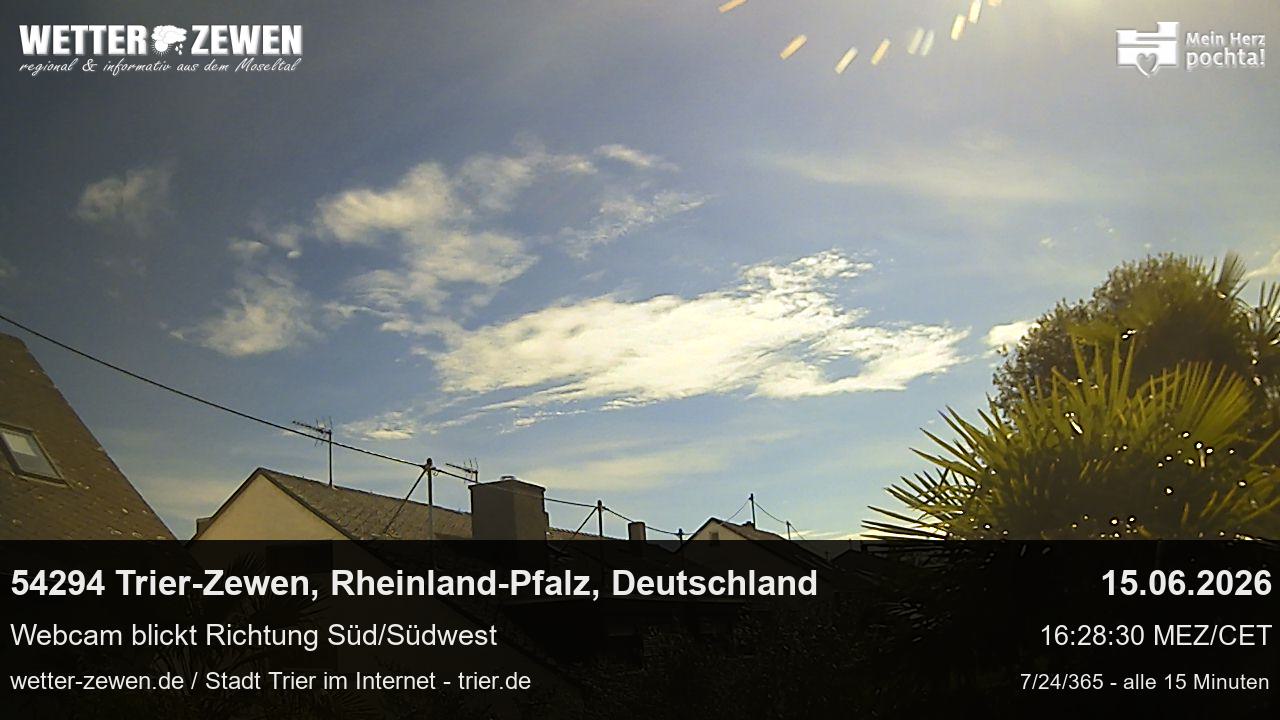 Bild
