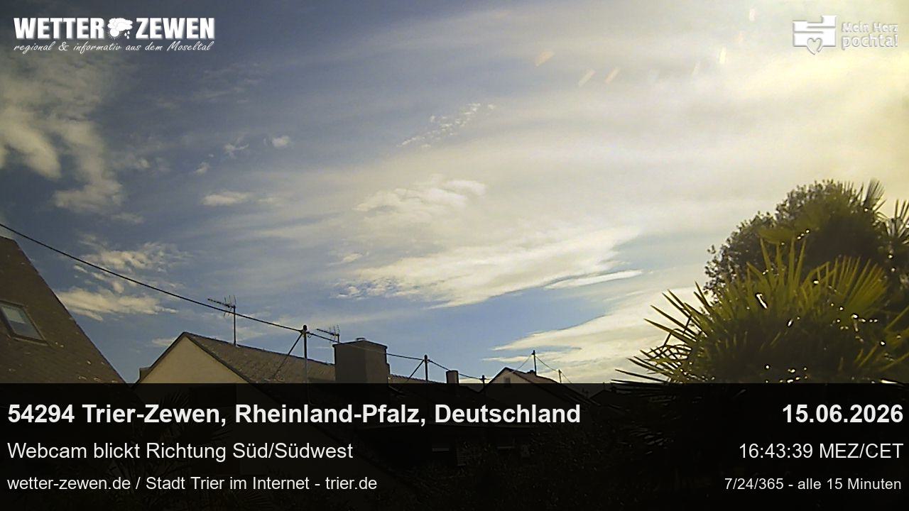 Bild