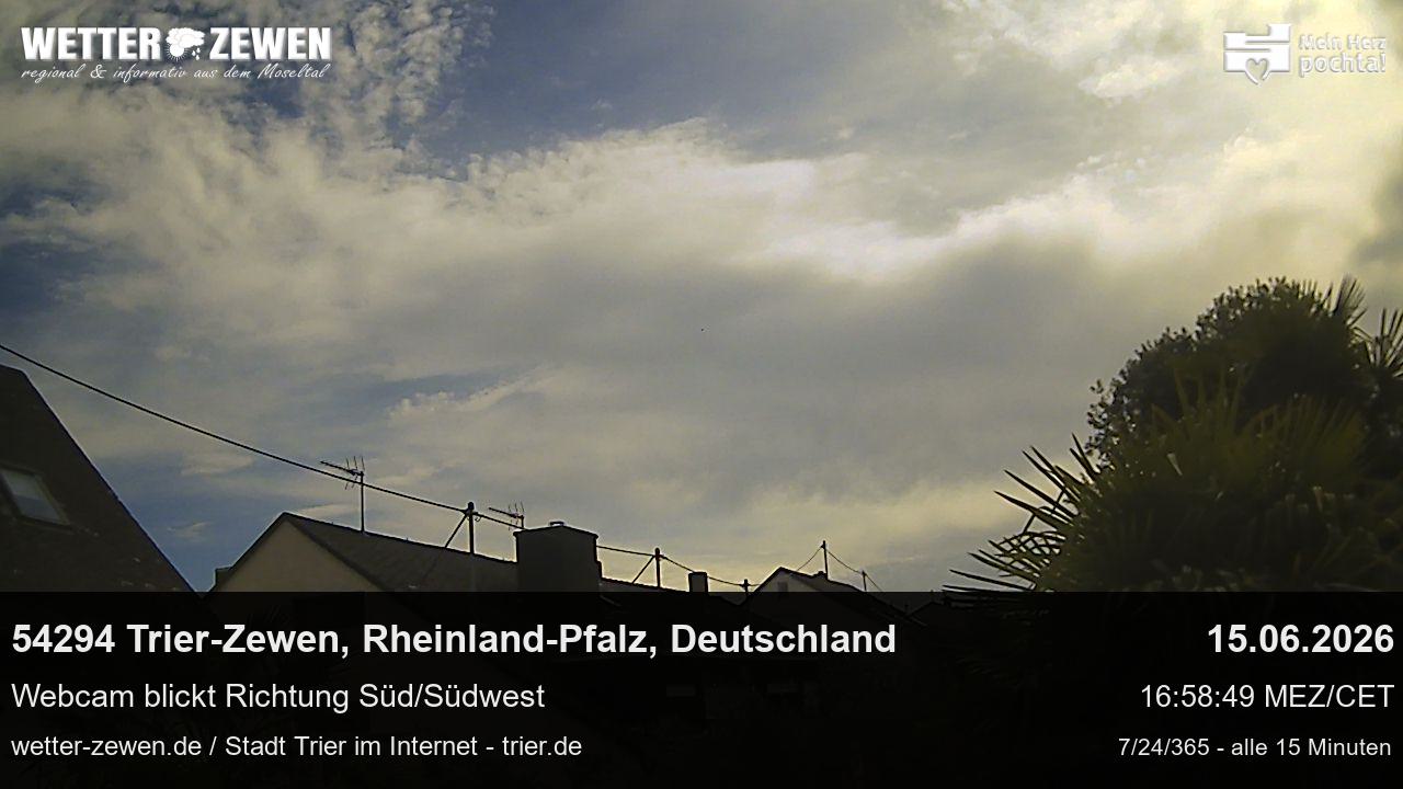 Bild