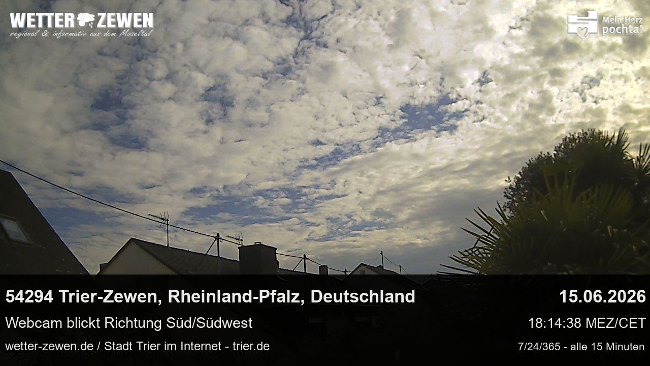 Bild