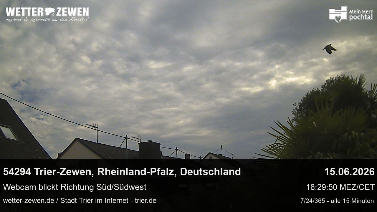 Bild