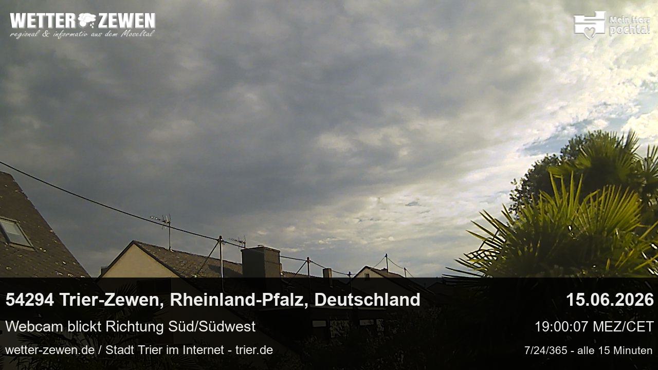 Bild