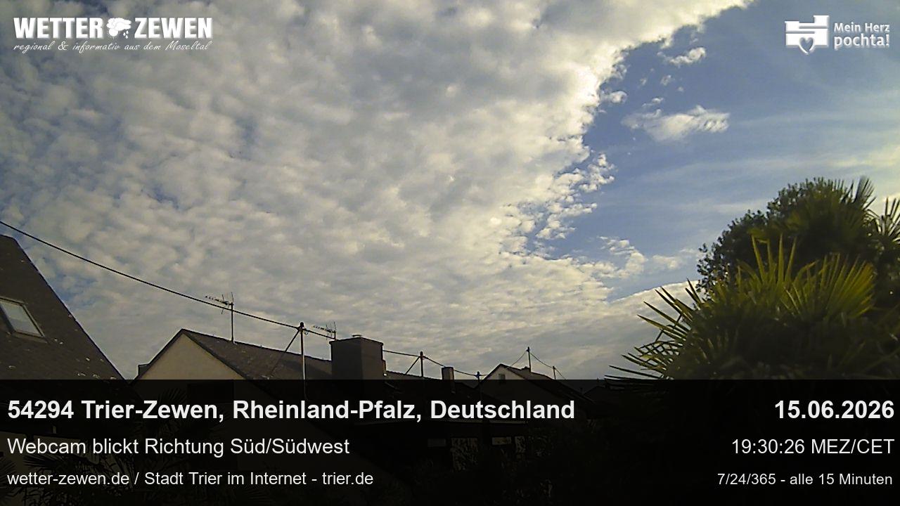 Bild