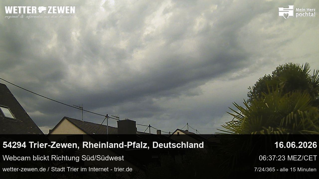 Bild