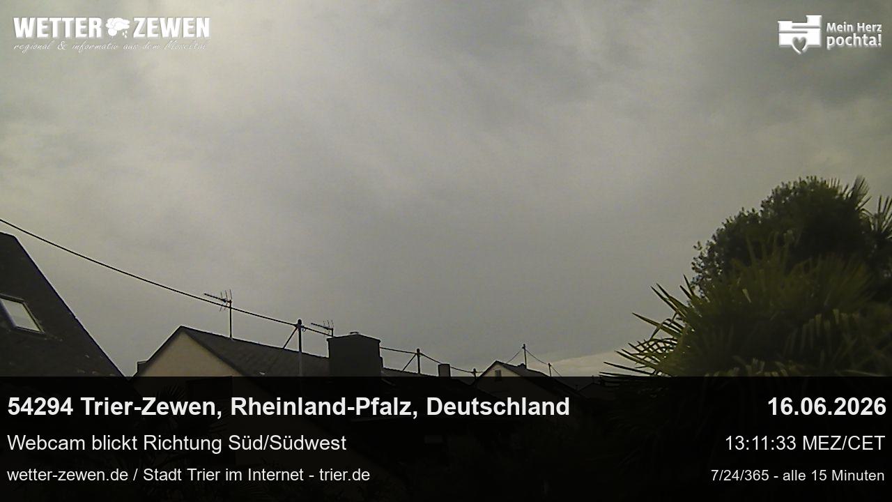 Bild