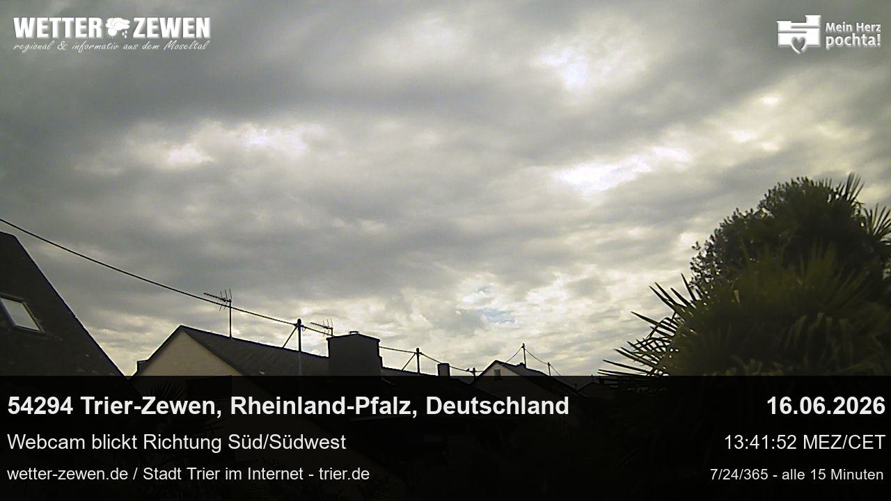 Bild