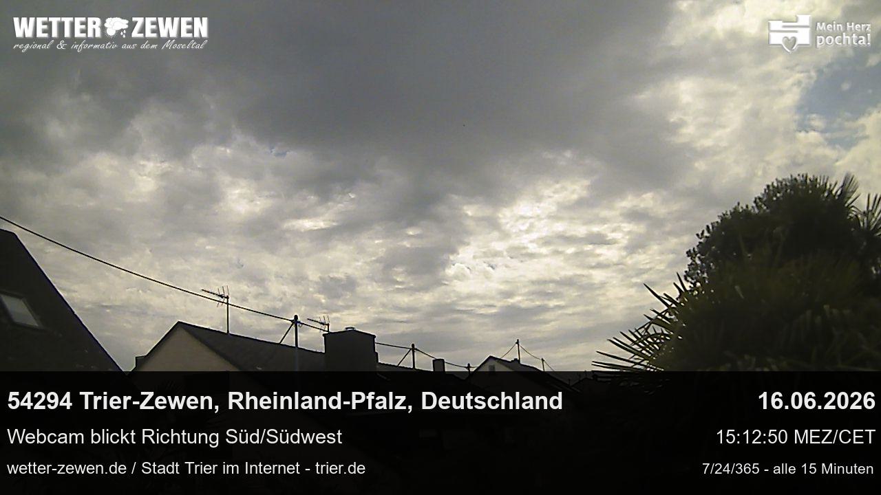 Bild
