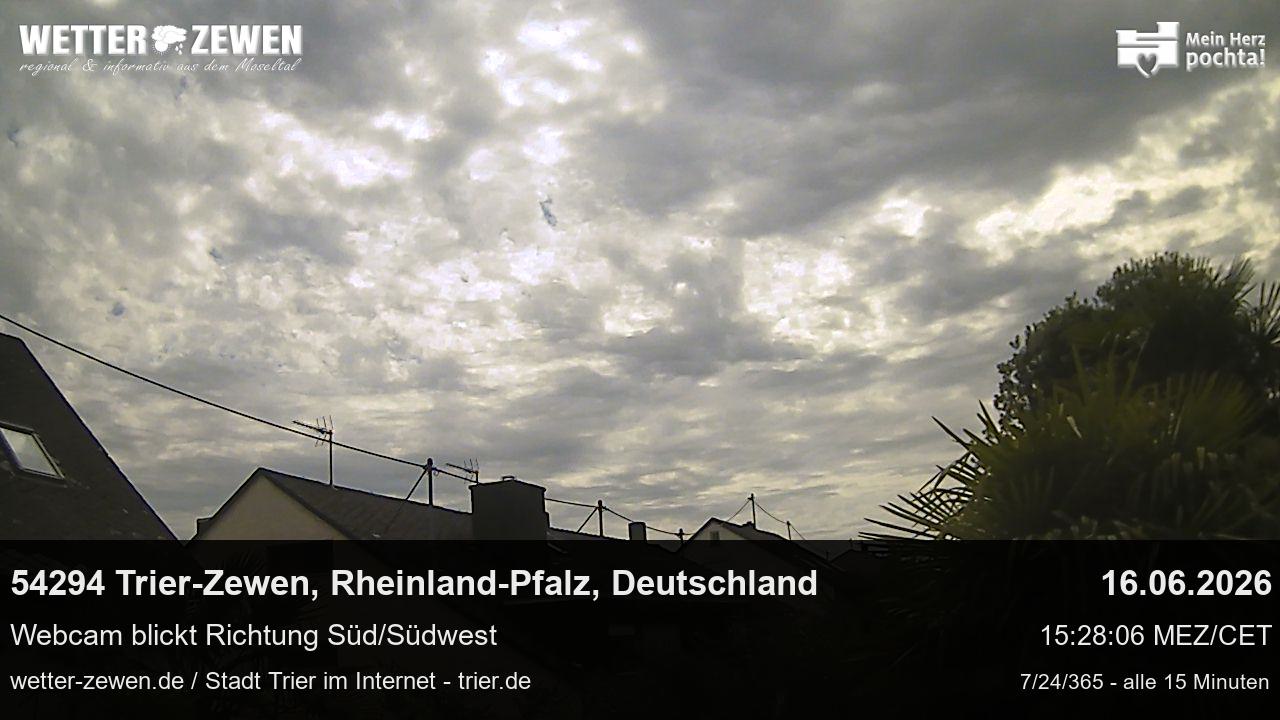 Bild