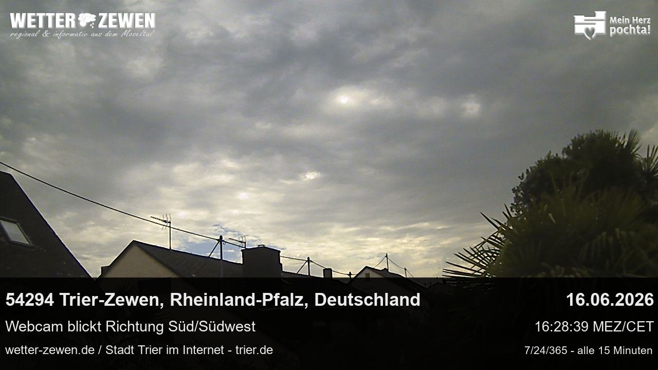 Bild