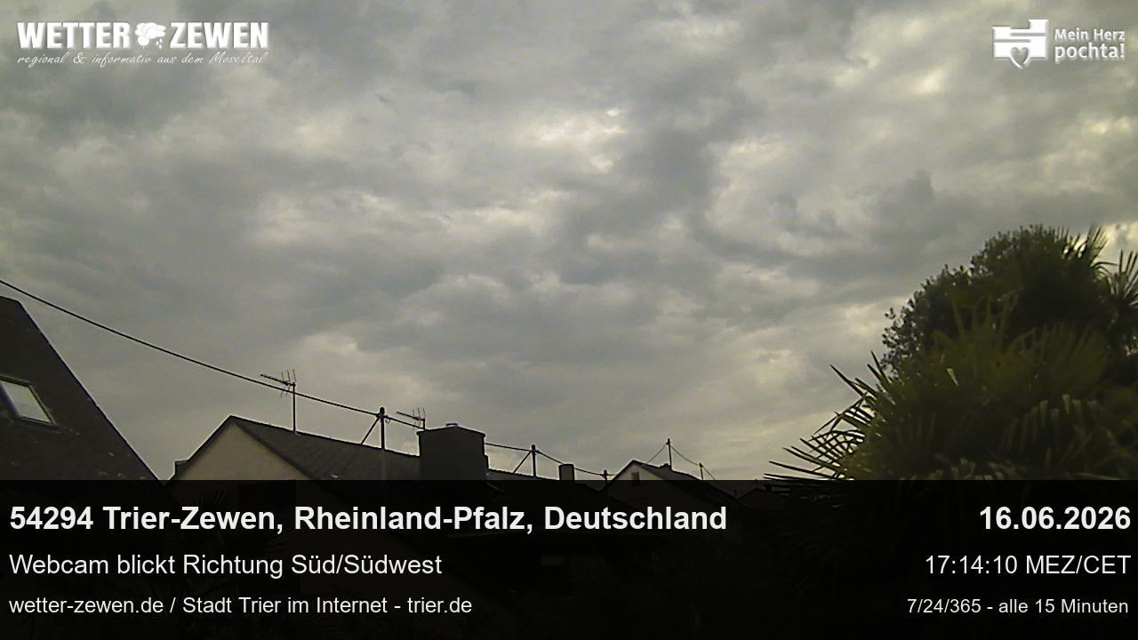 Bild