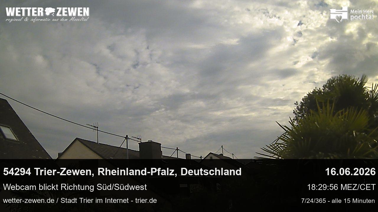 Bild
