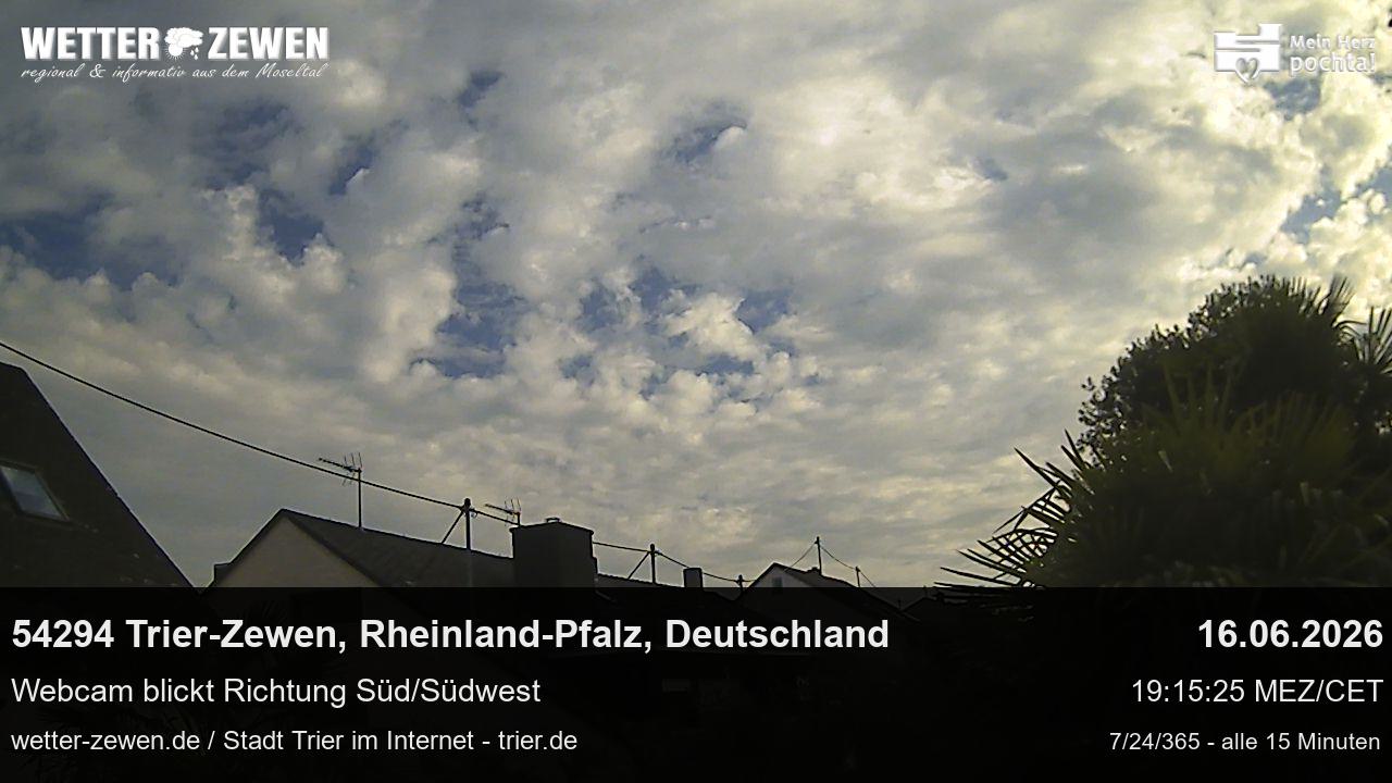 Bild