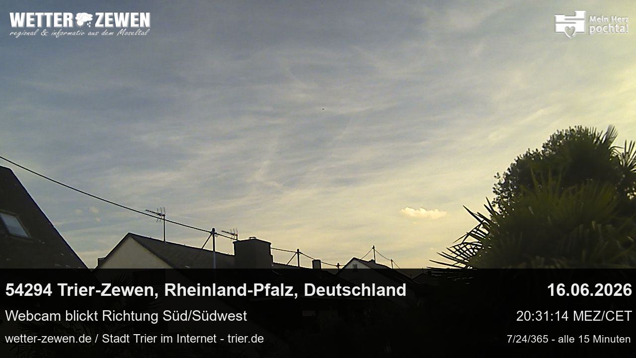 Bild