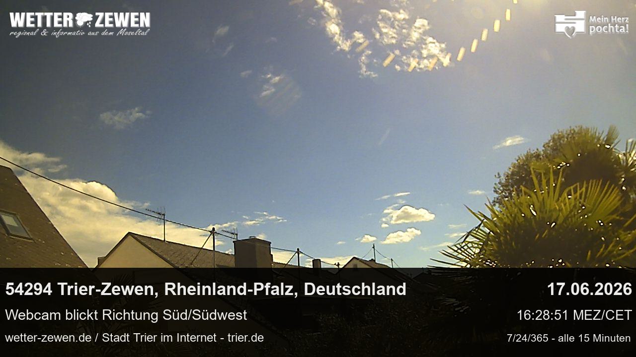 Bild