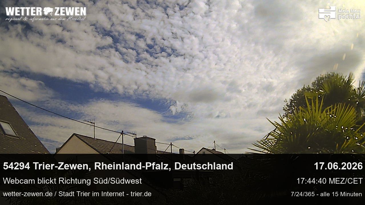 Bild