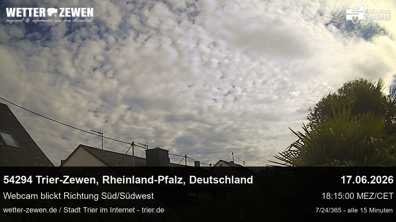 Bild