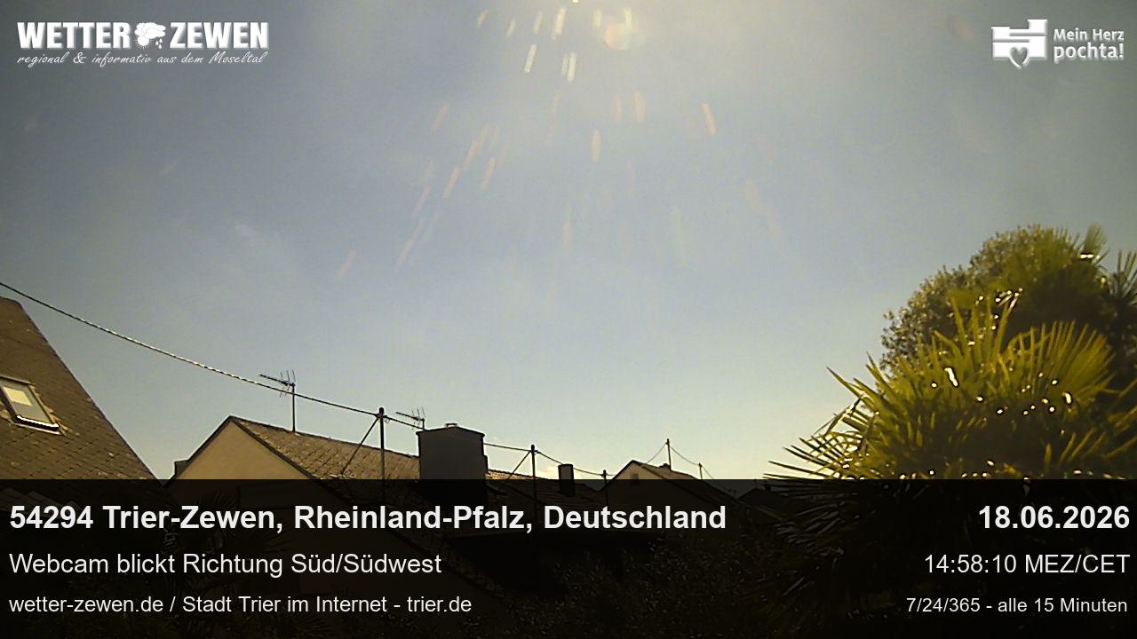 Bild