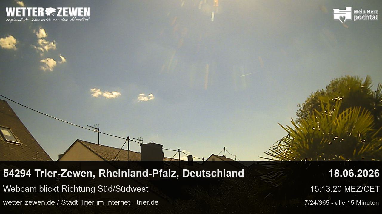 Bild