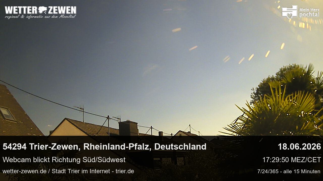 Bild