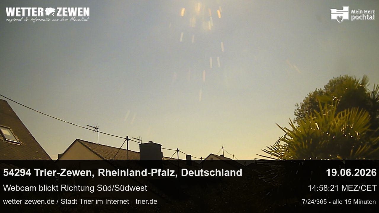 Bild