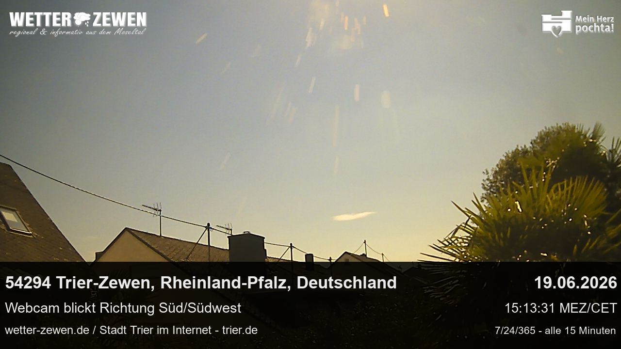 Bild