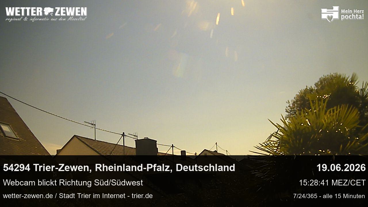 Bild