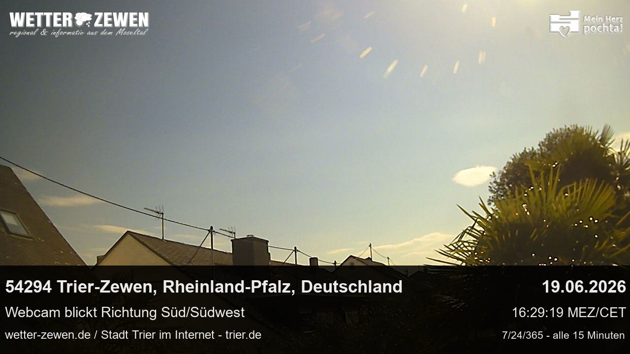 Bild