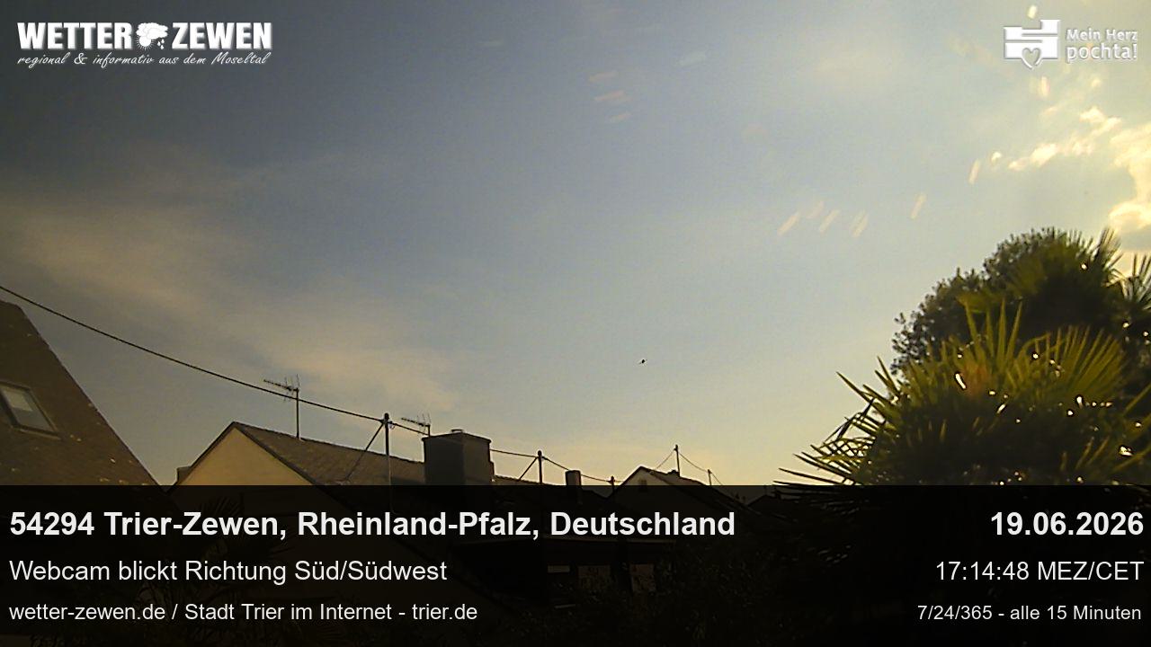Bild