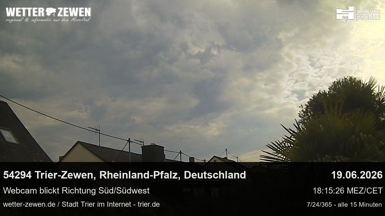 Bild