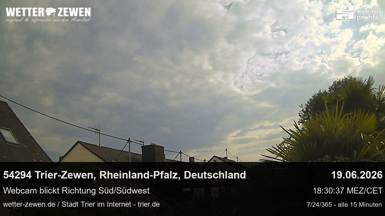 Bild