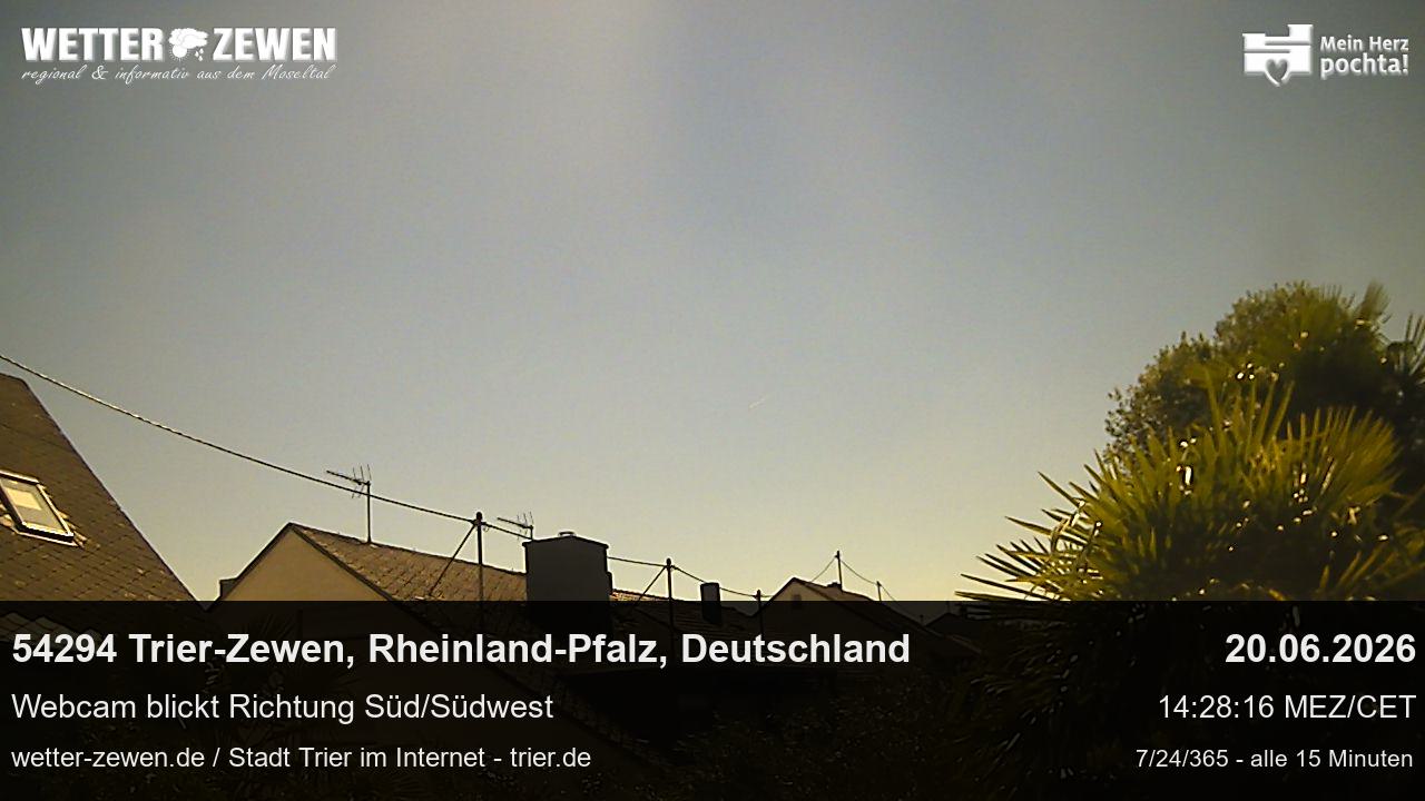 Bild