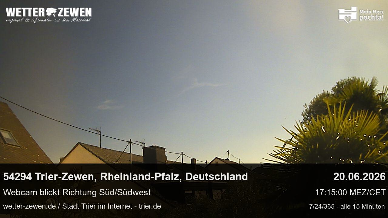 Bild